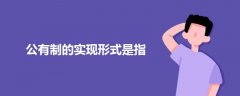 公有制的實現(xiàn)形式是指