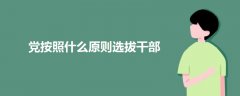黨按照什么原則選拔干部