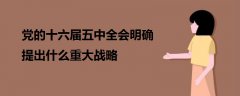 黨的十六屆五中全會(huì)明確提出什么重大戰(zhàn)略
