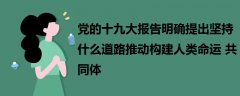 黨的十九大報告明確提出堅持什么道路推動構(gòu)建人類命運共同體