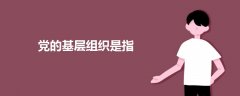 黨的基層組織是指