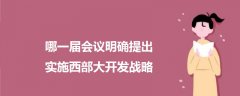 哪一屆會(huì)議明確提出實(shí)施西部大開發(fā)戰(zhàn)略