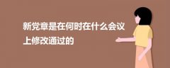 新黨章是在何時(shí)在什么會(huì)議上修改通過(guò)的