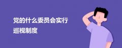 黨的什么委員會(huì)實(shí)行巡視制度