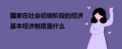 國家在社會初級階段的經濟基本經濟制度是什么