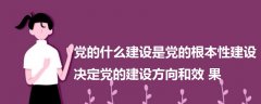 黨的什么建設(shè)是黨的根本性建設(shè)決定黨的建設(shè)方向和效果