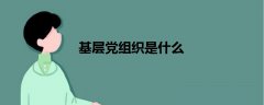 基層黨組織是什么