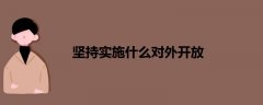 堅持實施什么對外開放