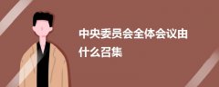 中央委員會全體會議由什么召集