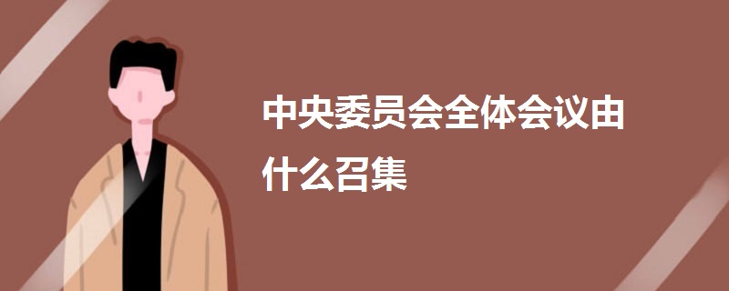 中央委員會全體會議由什么召集