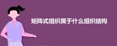 矩陣式組織屬于什么組織結(jié)構(gòu)