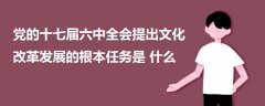 黨的十七屆六中全會(huì)提出文化改革發(fā)展的根本任務(wù)是什么