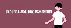 團(tuán)的民主集中制的基本原則有