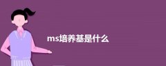ms培養(yǎng)基是什么