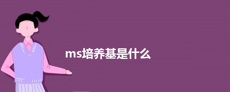 ms培養(yǎng)基是什么
