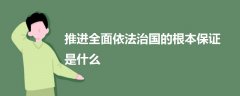 推進全面依法治國的根本保證是什么