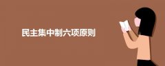 民主集中制六項(xiàng)原則