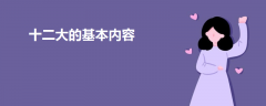 十二大的基本內(nèi)容