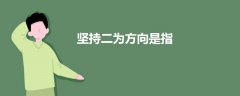 堅持二為方向是指