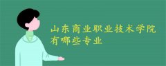 山東商業(yè)職業(yè)技術(shù)學(xué)院有哪些專(zhuān)業(yè)
