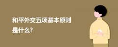 和平外交五項基本原則是什么?