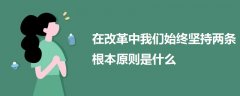 在改革中我們始終堅持兩條根本原則是什么