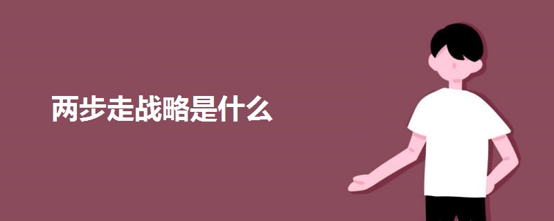 兩步走戰(zhàn)略是什么