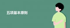五項(xiàng)基本原則