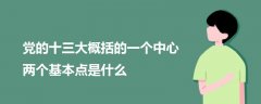 黨的十三大概括的一個中心兩個基本點是什么