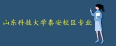 山東科技大學(xué)泰安校區(qū)專業(yè)