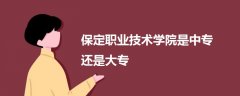 保定職業(yè)技術學院是中專還是大專