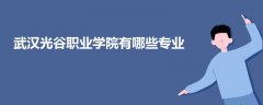 武漢光谷職業(yè)學院有哪些專業(yè)