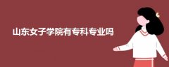 山東女子學(xué)院有?？茖I(yè)嗎