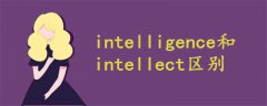 intelligence和intellect區(qū)別