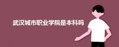 武漢城市職業(yè)學院是本科嗎
