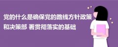 黨的什么是確保黨的路線方針政策和決策部署貫徹落實的基礎(chǔ)