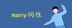 many詞性