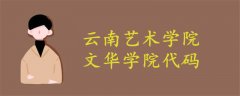 云南藝術學院文華學院代碼