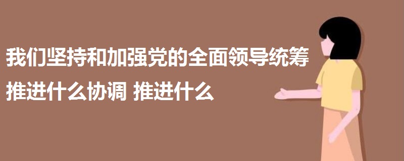 我們堅持和加強黨的全面領(lǐng)導(dǎo)統(tǒng)籌推進什么協(xié)調(diào)推進什么