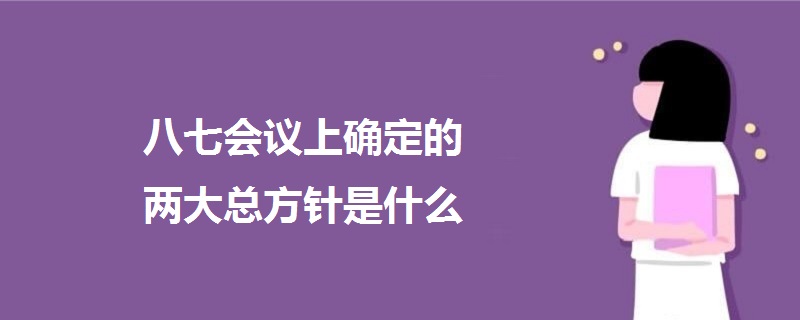 八七會(huì)議上確定的兩大總方針是什么