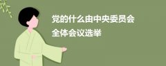 黨的什么由中央委員會(huì)全體會(huì)議選舉