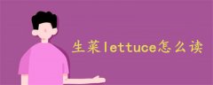 生菜lettuce怎么讀