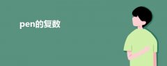 pen的復(fù)數(shù)