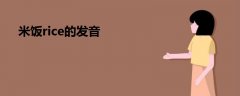 米飯rice的發(fā)音