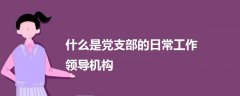 什么是黨支部的日常工作領(lǐng)導(dǎo)機(jī)構(gòu)