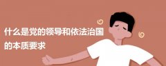 什么是黨的領(lǐng)導(dǎo)和依法治國(guó)的本質(zhì)要求
