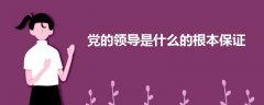 黨的領(lǐng)導(dǎo)是什么的根本保證