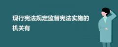 現(xiàn)行憲法規(guī)定監(jiān)督憲法實(shí)施的機(jī)關(guān)有