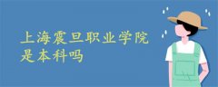 上海震旦職業(yè)學院是本科嗎