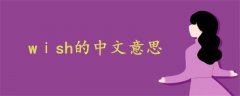 wⅰsh的中文意思